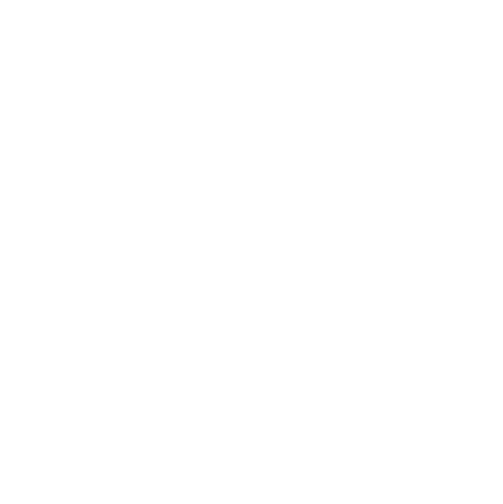 BGE Inc Store